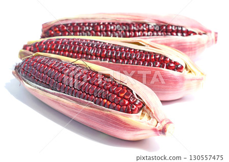 玉米（大和紅色） 130557475