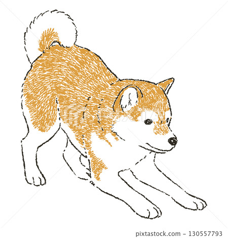 快樂的柴犬 130557793