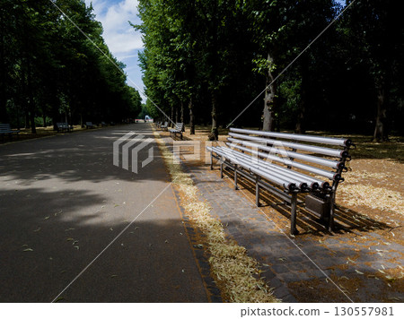 park with modern bench 130557981
