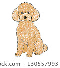 玩具貴賓犬坐著的插圖 130557993