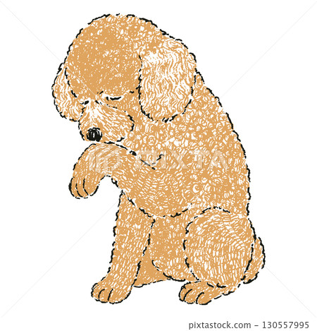 Illustration of a toy poodle sitting and grooming itself 130557995