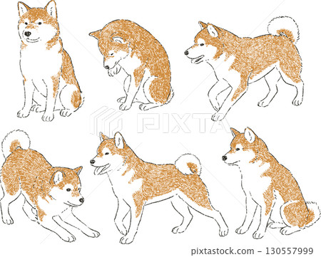 柴犬簡單插圖集 130557999