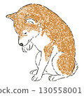 手繪的柴犬坐著梳理毛髮的插圖 130558001