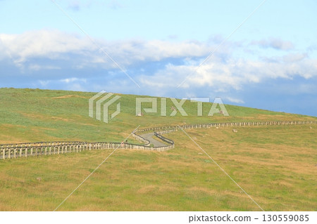 Nagano Prefecture Utsukushigahara Plateau 130559085
