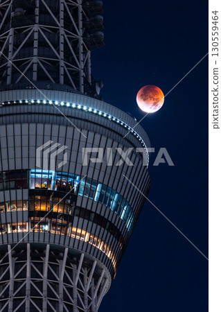 東京:2025年9月8日月全食及晴空塔 東京:2025年9月8日月全食及晴空塔 130559464