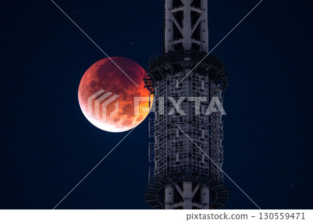 Tokyo: Total lunar eclipse and Skytree on September 8, 2025 130559471