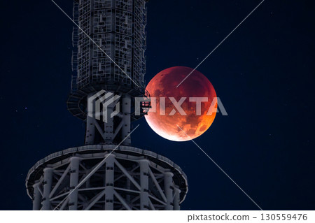 東京:2025年9月8日月全食及晴空塔 東京:2025年9月8日月全食及晴空塔 130559476