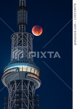 東京:2025年9月8日月全食及晴空塔 東京:2025年9月8日月全食及晴空塔 130559479