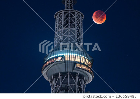 Tokyo: Total lunar eclipse and Skytree on September 8, 2025 130559485