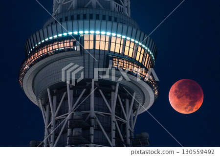 東京:2025年9月8日月全食及晴空塔 東京:2025年9月8日月全食及晴空塔 130559492