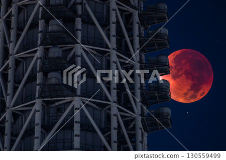 東京：2025年9月8日月全食及晴空塔 130559499