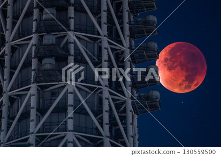 東京：2025年9月8日月全食及晴空塔 130559500