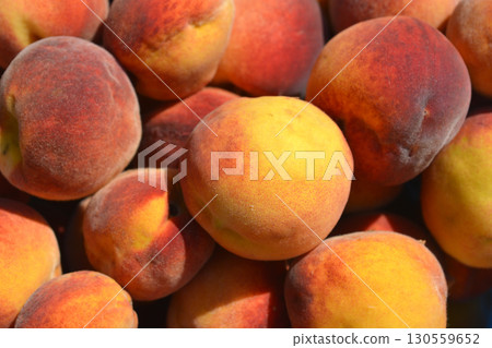 Freshly picked peaches Freshly picked peaches 130559652