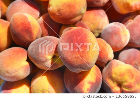 Freshly picked peaches 130559653