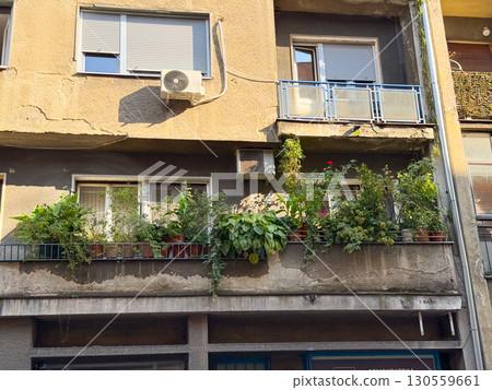 Residential balcony with abundant green plants and potted flowers. Urban gardening, sustainability and city living with natural atmosphere. Residential balcony with abundant green plants and potted flowers. Urban gardening, sustainability and city living with natural atmosphere. 130559661