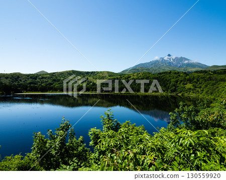 從 Otatomari 沼澤欣賞利尻山的壯麗景色 從 Otatomari 沼澤欣賞利尻山的壯麗景色 130559920