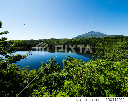 Spectacular view of Mount Rishiri from Otatomari Swamp Spectacular view of Mount Rishiri from Otatomari Swamp 130559921