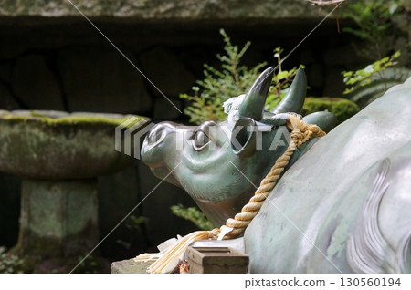 Sacred cow of Takazumi Shrine 130560194