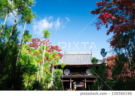 京都源光庵的秋葉 130560196