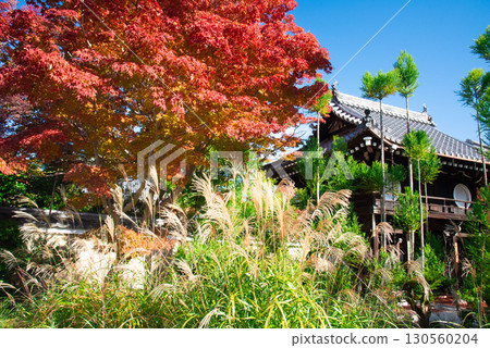 Autumn leaves at Genkoan Temple in Kyoto Autumn leaves at Genkoan Temple in Kyoto 130560204