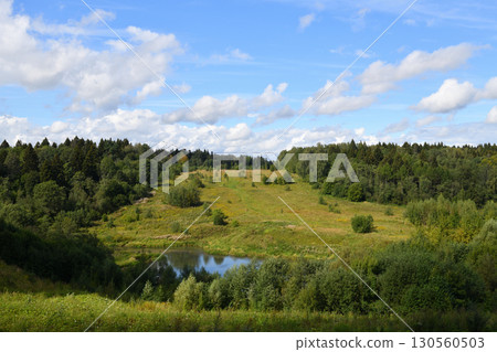 Summer landscape with forest of deciduous and coniferous trees. Russia Summer landscape with forest of deciduous and coniferous trees. Russia 130560503