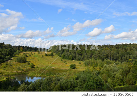Summer landscape with forest of deciduous and coniferous trees. Russia Summer landscape with forest of deciduous and coniferous trees. Russia 130560505