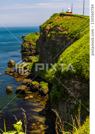 [Hokkaido_Akkeshi_Cape Kiritappu] The dynamic scenery of steep cliffs and reefs is fascinating 130560784
