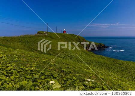 [Hokkaido_Akkeshi_Cape Kiritappu] The dynamic scenery of steep cliffs and reefs is fascinating 130560802