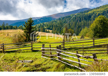 mountainous rural landscape of ukraine in autumn. wooden fence near the path through grassy meadow on the hillside. scenery with fir forest on the mountains on a sunny day under blue sky with clouds 130560843