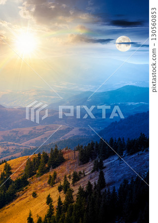 fir trees on a meadow down the hill. day and night time change concept. coniferous forest in mountains with sun and moon at twilight. steep hillside in early autumn fir trees on a meadow down the hill. day and night time change concept. coniferous forest in mountains with sun and moon at twilight. steep hillside in early autumn 130560853