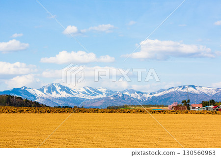 Spring scenery and the expansive rural landscape of Rokugo, Furano Spring scenery and the expansive rural landscape of Rokugo, Furano 130560963
