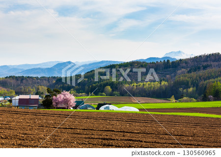 Spring scenery and the expansive rural landscape of Rokugo, Furano Spring scenery and the expansive rural landscape of Rokugo, Furano 130560965