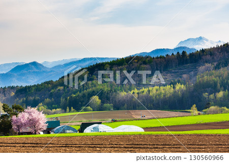 Spring scenery and the expansive rural landscape of Rokugo, Furano Spring scenery and the expansive rural landscape of Rokugo, Furano 130560966