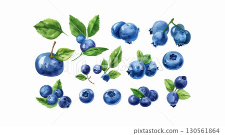 illustration blueberries plums style touch flair detailed depicted 130561864