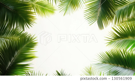 view palm frame background patterns texture closeup green 130561909