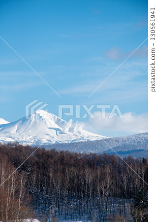 冬日陽光明媚的日子，大雪山樹木繁茂的森林和雪山 130561941