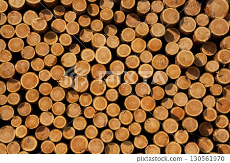 Stacked log 130561970