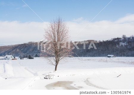 冬天，池塘邊站著紅色漿果的羅文 130561974