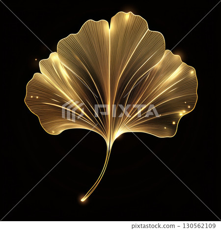 ginkgo leaf background details light shadow sense depth 130562109
