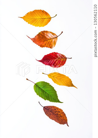 collection background autumn orange green brown leaves shades 130562110