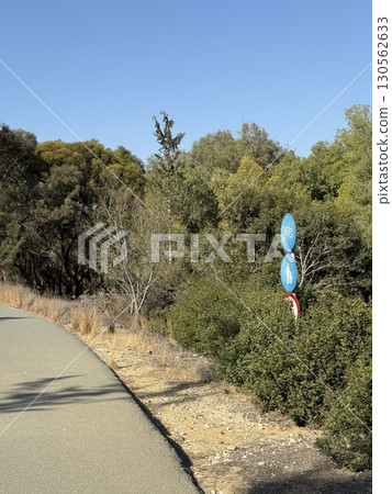 Walking path in public park, eucalyptus, fir, spruce, deciduous trees. Concrete pathway in park leading to road. Dirt path through a forest of trees. 130562633