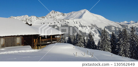 Old farmhouse and snow covered mountains Gifer and Lauenehore, view from Wispile, Gstaad. Old farmhouse and snow covered mountains Gifer and Lauenehore, view from Wispile, Gstaad. 130562649