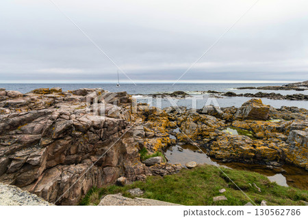 Rocky seashore. Stones covered with yellow and green moss and cloudy sky. Rocky seashore. Stones covered with yellow and green moss and cloudy sky. 130562786