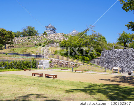 濱松城公園的夏天 130562867