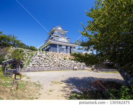Summer at Hamamatsu Castle Park 130562875
