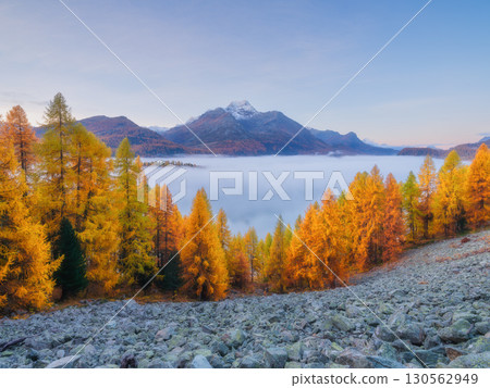 he Engadin valley, Switzerland. Nature. Autumn landscape in the Switzerland. 130562949