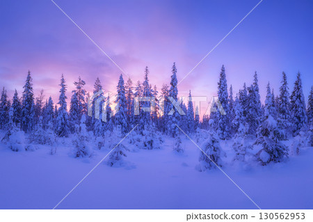 Winter landscape during sunset. Lapland, Finland. Winter wonderland. Scandinavian countries. 130562953