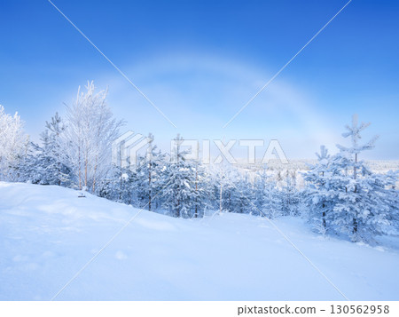 Winter landscape and frozen rainbow. Trees covered with snow. Lapland, Finland. Winter landscape and frozen rainbow. Trees covered with snow. Lapland, Finland. 130562958