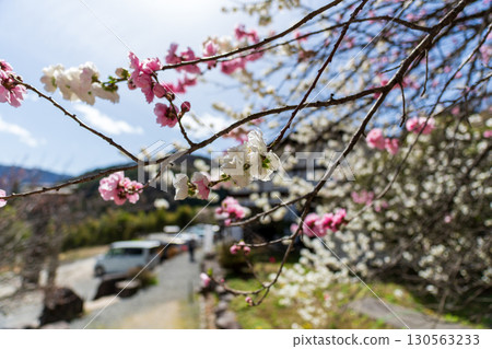 250421 信濃比叡古書院 130563233