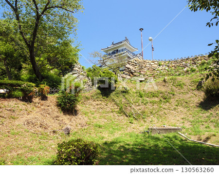 Summer at Hamamatsu Castle Park 130563260